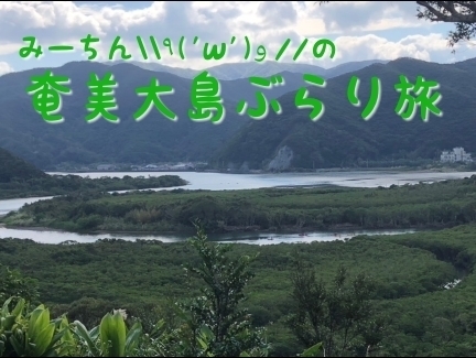 奄美大島サウナ旅 やけうちの湯 ホテルニュー奄美 九州サウナ放浪記