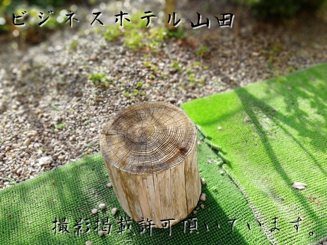 1572528773884.jpg
