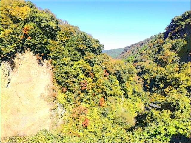 IMG_20191029_105359-1587x1190.jpg