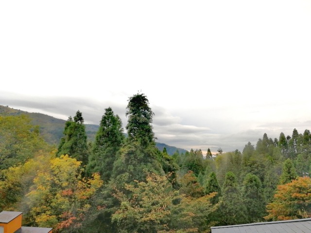 IMG_20191030_171800-1587x1190.jpg