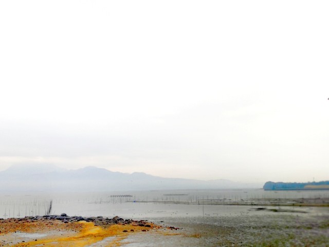 IMG_20200110_231712-992x744.jpg